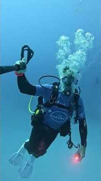 Huge sea salp