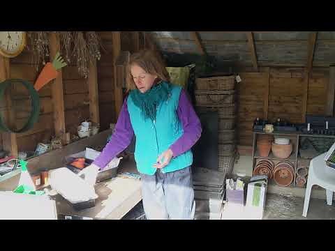 How to use a propagator to grow plants