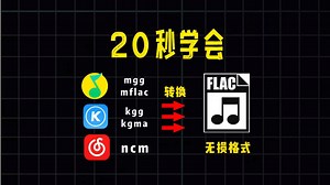 20秒学会，将各种音乐平台下载的音乐转成flac，wav无损音质