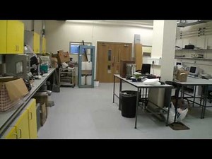 Basement laboratory and cold room