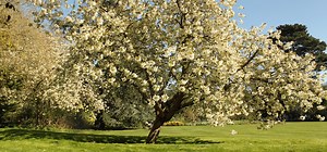 Trinity commits to net zero by 2050 and divestment from fossil fuels