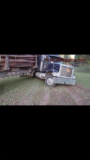 Logging in Mississippi: TigerCat and Family Owned Business