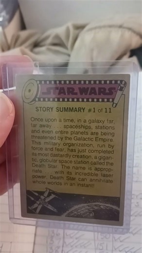 Star Wars the Princess and the farm boy