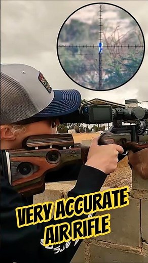 Very Accurate Air Rifle | FX KING #fxairguns #elementoptics