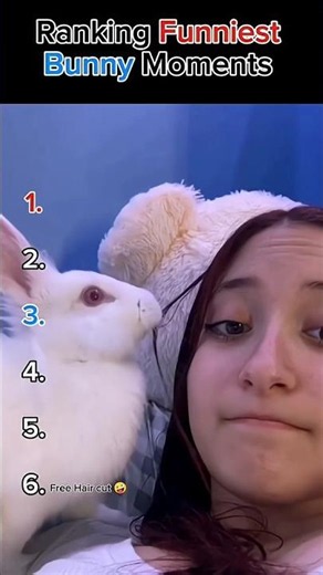 Ranking The FUNNIEST Bunny Moments Ever! 🐰😂 (Try Not To Laugh).