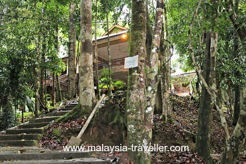 Tree Top Walk Sungai Sedim, Kulim, Kedah
