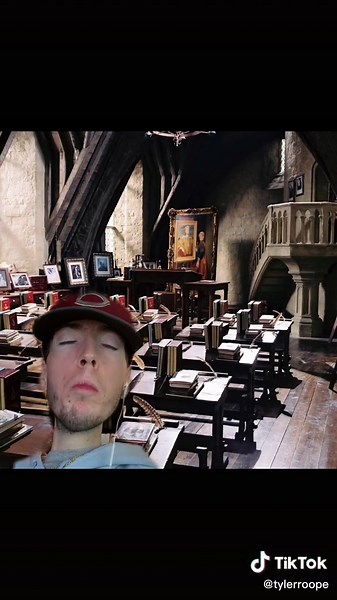 is Hogwarts accessible? #greenscreen #fyp #storytime #comedy #spinalmuscularatrophy