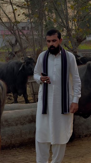 Exploring Mandi Bahauddin: A Cultural Journey