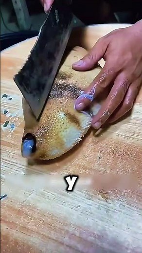 El Increíble Truco de Defensa del Pepino de Mar 😲#Naturaleza #AnimalesMarinos #Curiosidades