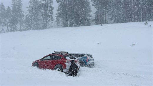 Eight people found dead following California avalanche