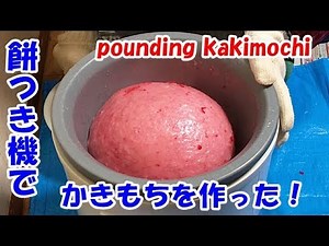 餅つき機でお餅つきpounding mochi(えびのかきもち、青のりのかきもち)
