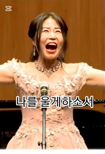 헨델 오페라 리날도 중(나를 울게하소서)