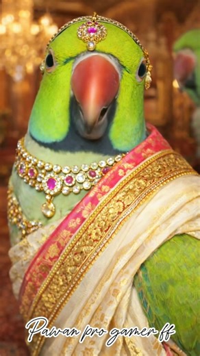 Mummy give me glass of water 😅🤣 #shortsviral #funny #talkingparot