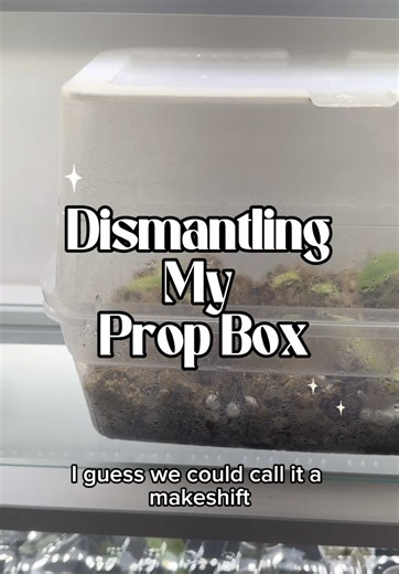 Emily Sparks on TikTok