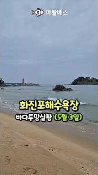 화진포해수욕장 바다투망실황, 고성 동해바다 초도항 화진포해변 숭어전어학꽁치투망 차박캠핑여행, 밤에 대전어떼, 낮에는 학꽁치와 동갈치투망, castnet, fishing, pesca