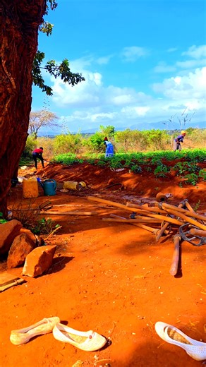 Robert BOB (@robert.bob72)’s videos with original sound - Mosecomedy🇰🇪🇺🇸