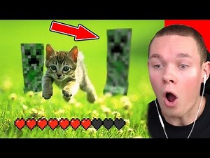 LACHEN = MINECRAFT LÖSCHEN (LUSTIGSTEN Minecraft Memes)