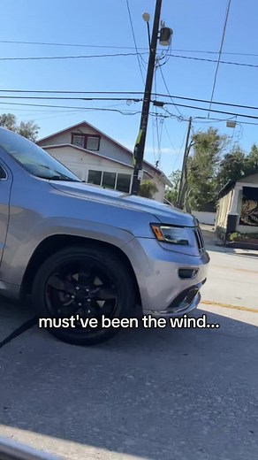 Understanding the 'Must've Been the Wind' Meme