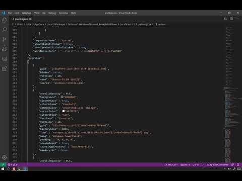Customizing the New Windows Terminal Dropdown Menu