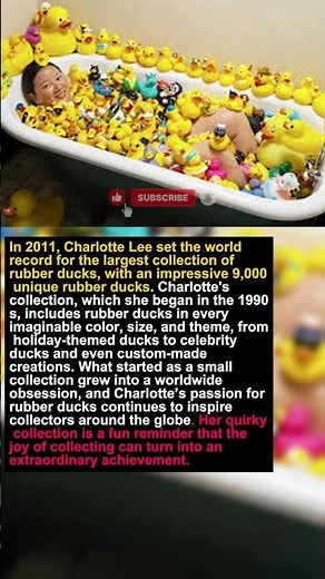 The Largest Collection of Rubber Ducks 🦆🛁