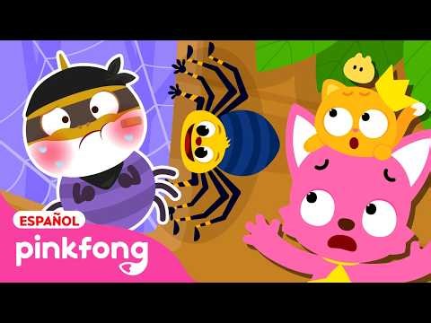 🕸️🕷️La Araña Pequeñita + Incy Wincy Arañas Bebés | Itsy Bitsy Araña | Pinkfong Canciones Infantiles