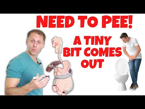 Why Do I Have to Pee So Often But Hardly Any Comes Out?