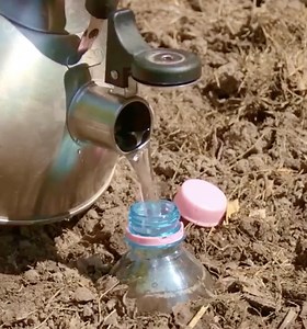 DIY Automatic Garden Watering System – No More Dry Plants! | Wood Mood