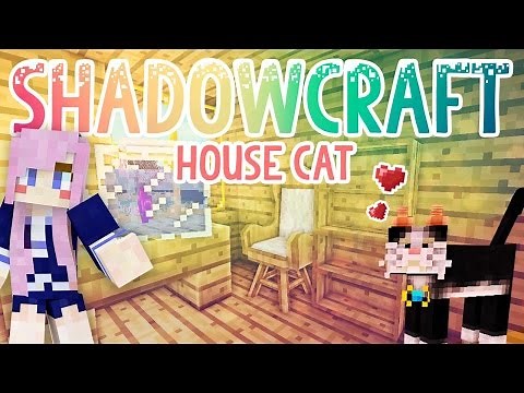 House Cat | Shadowcraft 2.0 | Ep.10