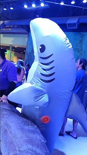 Meet and Greet Shark inflatable character at the sea lab touch pool Discovery Cube OC CA (8/17/2025)