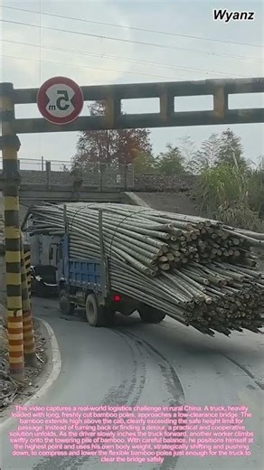 How We Transport Oversized Bamboo Under Bridges | Rural Life & Logistics