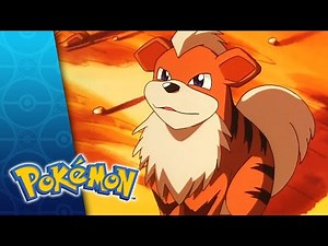 Holy Matrimony! | POKÉMON FULL EPISODE 45 | Season 1