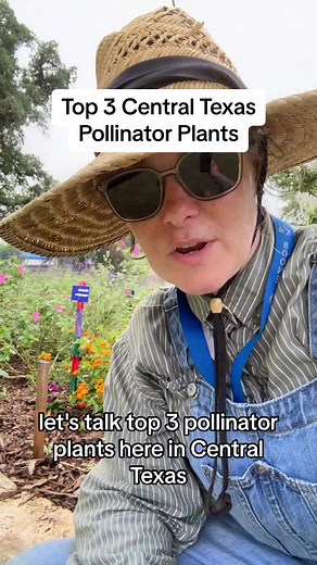 JennieGardens on TikTok