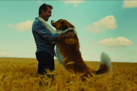 Movie Review - A Dog's Journey (2019)