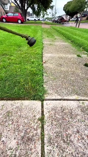 How to Prune and Cut Grass for Garden Cleanup