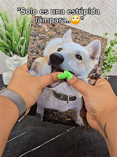 Personaliza la tuya en nuestro perfil ❤️‍🩹 #perros #lámparaspersonalizadas #mascotas #petlovers #regalos