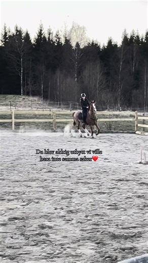 Ferrari Love for Equestrians