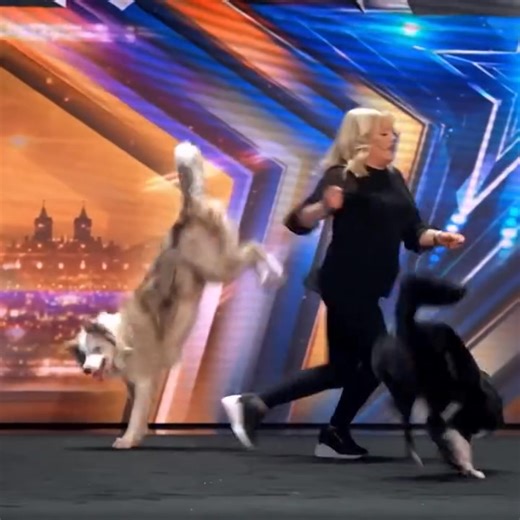 ADORABLE DANCING DOGS put on a wag-tastitc show! Unforgettable Audition Britain's Got Talent | AGT Best Talent video