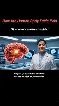 What Is Pain? | The Real Science Behind Pain