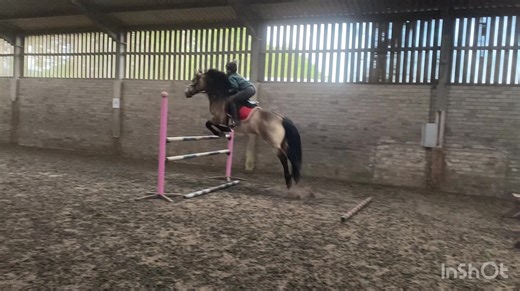 Robyn Lamont on TikTok