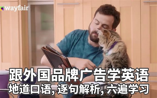 跟品牌广告学地道英语：Wayfair年度大促，逐句解析，六遍播放，先盲听三遍，再逐句解析单词及知识点，再两遍有字幕，一遍无字幕，英语口语，英语听力学习