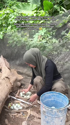 #fyp #jangkauanluas #tiktok