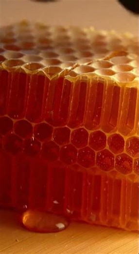 That pure honey drip... 🍯🤤 #Honeycomb #Honey #ASMR