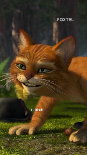 Funny Moments with Shrek and Puss in Boots