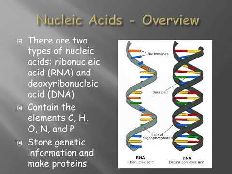 An introduction to biomolecules