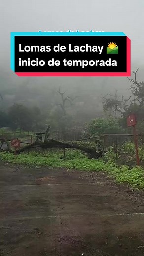 Explorando las Lomas de Lachay desde Lima