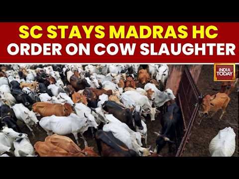 Supreme Court Stays Madras HC Order Banning Cow Slaughter In Tamil Nadu | TVK | CM Vijay | Bakrid