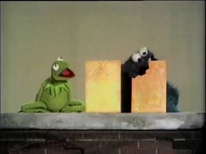 Kermit lectures on two Same and Different yellow rectangles (alt take)