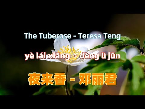 夜来香- 邓丽君.ye lai xiang - Teresa Teng.Chinese songs lyrics with Pinyin.