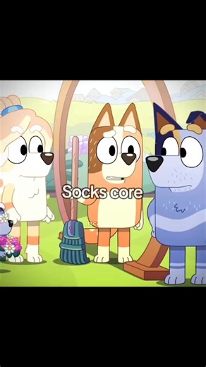 Adorable Socks Core Collection