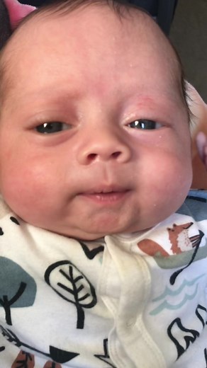 Cansada Papito: Meme Divertido de Bebés